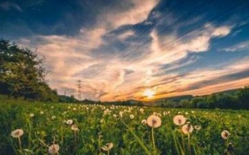 2023乙丑日柱婚配流年运势 乙丑日柱2023好的桃花要把握