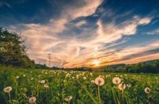 今日吉时查询 2025年农历二月十三是装修吉日吗