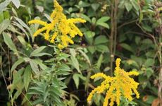 孕妇梦见棺材有什么意思？预示着什么？