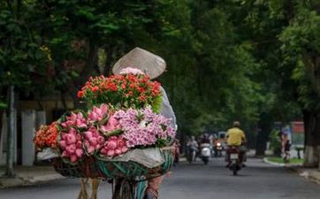 属兔人2024年7月乔迁黄道吉日