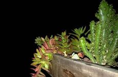 今日财神方位 2025年1月1日十二时辰财神方位变化