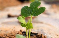 今日十二时辰财神方位变化 2025年1月4日财神方位