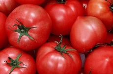 今天适合领证吗 2025年2月16日黄历查询