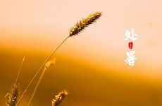 几月的牛最有福气 这几个月出生最是幸福