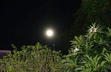 人如果中邪了怎么快速破解