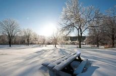 搞笑的宠物名字