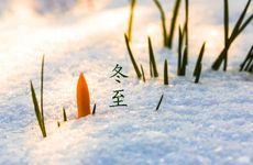 2024年冬至迁坟的最佳时间 白天迁坟不过午