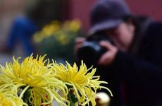 2024年重阳节是几月几号