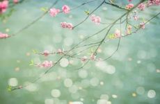 2023年立春时间是白天还是黑夜 2023年立春在上午还是下午