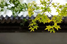 立秋贴秋膘的由来 贴秋膘是啥意思