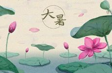 2022年大暑时间几点几分几秒 高温炎热喝茯茶