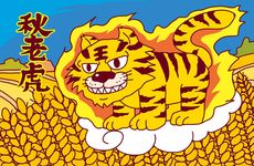 镇宅最绝的三种东西 镇宅又化煞最厉害的物品