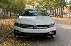 2024年3月12日植树节宣传标语 最新植树节宣传标语2024