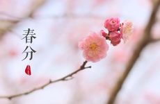 春分节气的民间习俗及养生方法