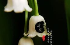 2022洛阳清明期间限号吗