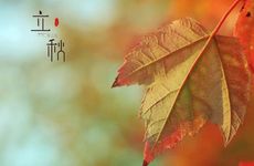 江苏立秋吃什么传统美食 不同地区习俗