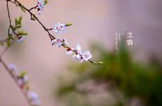 立春有什么讲究吗 2023年立春是哪一天