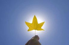 2023年太岁星君是谁叫什么名字 姜武将军