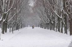 哪些星座的娱乐休闲是看小说