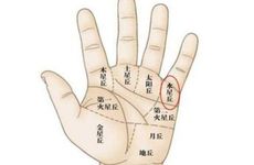 眉骨高的人有什么说法