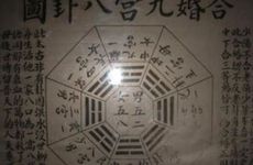 怀孕孕妇梦见小老虎被小毒蛇追咬