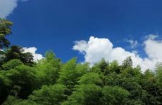 梦见坟墓好吗？梦见坟地变动是什么意思？