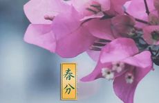 春分和立春的区别