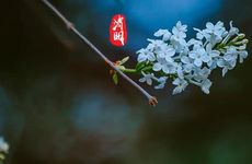 梦见吃香蕉是什么意思