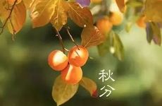 梦见拉屎是什么意思？