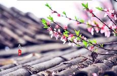 2023年有两个立春吗是双春年吗