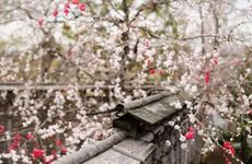 2022年谁躲春 2022年躲春几点到几点