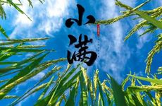 2023年小满是农历哪一天交节时刻 为小满是什么季节 是几月几日