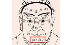 相术看哪些人婚后会大富大贵