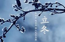 2023年出伏是哪天 2023年几号出伏