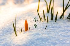 梦见自己偷情被发现