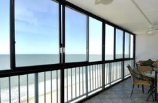 新房放什么植物好 富贵竹好