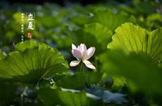 立夏节气的习俗及养生食物