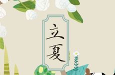 梦见砍伐树林　周公解梦之梦到砍伐树林