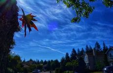 春节有哪些传统食物