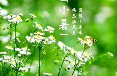 小暑节气的习俗及养生食物