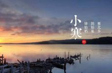 梦见自己的头发白了一半是什么问题