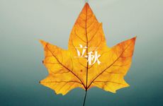 哪些星座女生和大熊猫一样天生好命