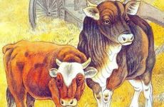 属牛人用什么微信网名好