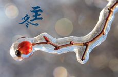 冬至可以说节日快乐吗 冬至佳句简短