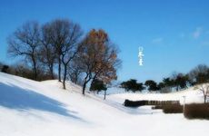 冬至吃饺子选啥馅