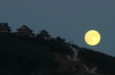 梦见大蛇飞　周公解梦之梦到大蛇飞