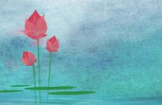 夏至需要注意什么？夏至注意事项？