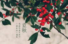 立秋下雨有什么说法