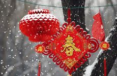 追剧很容易入迷的星座有哪些