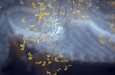 2023年立春哪几个属相躲春 要注意什么